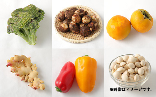 豊野の恵み 野菜 果物 10品目程度 詰め合わせ 盛り合わせ