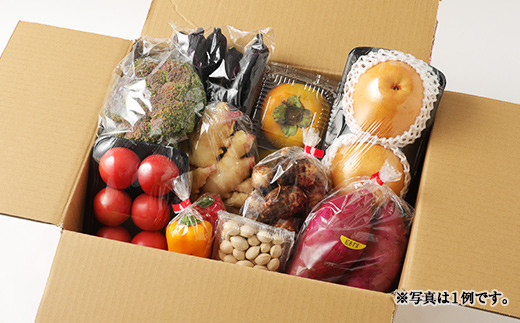豊野の恵み 野菜 果物 10品目程度 詰め合わせ 盛り合わせ