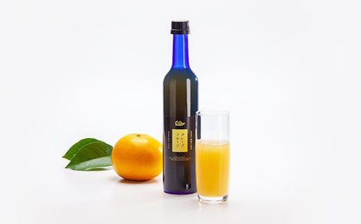果汁100％ グレープフルーツジュース 500ml 3本 セット