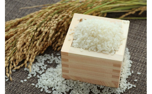 山形県庄内町産　特別栽培米つや姫　5kg×２袋