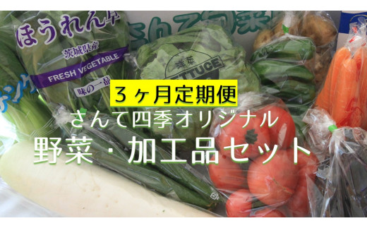 C-24 さんて四季オリジナル野菜・加工品セット（3ヶ月定期便）