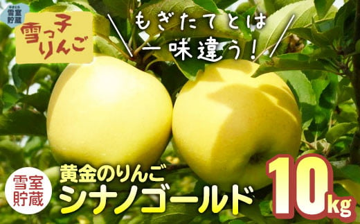 【2024年4月発送/予約受付】雪っ子りんご シナノゴールド 　10kg 471701 - 岩手県北上市