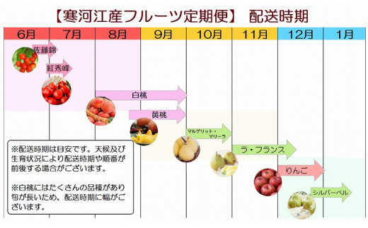 贅沢8回 果物王国 山形 さがえ産フルーツ定期便 お楽しみフルーツ8種セット 糖度保証付き入り 先行予約 21年産 080 B03 山形県寒河江市 ふるさと納税 ふるさとチョイス