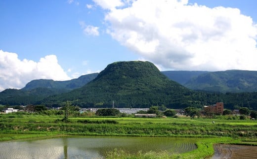 伐株山（きりかぶさん）は玖珠町のシンボルです！