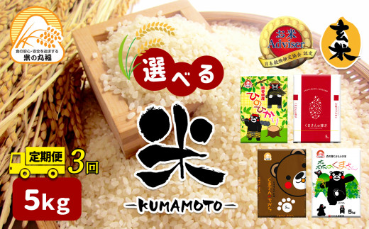 [定期便3回]熊本県産 森のくまさん 5kg×3回 | 米 こめ お米 おこめ 白米 精米 玄米 定期 定期便 熊本県 玉名市