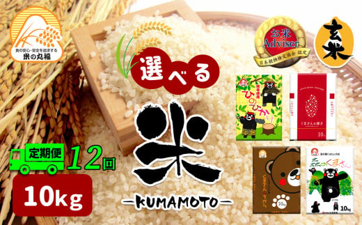 【定期便12回】 熊本県産 ひのひかり 10kg×12回 | 米 こめ お米 おこめ 白米 精米 玄米 定期 定期便 熊本県 玉名市 322684 - 熊本県玉名市