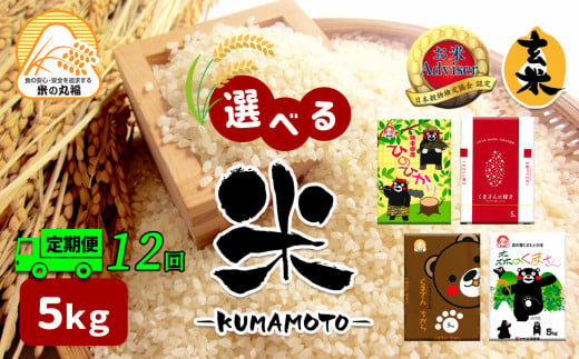 【定期便12回】 熊本県産 ひのひかり 5kg×12回 | 米 こめ お米 おこめ 白米 精米 玄米 定期 定期便 熊本県 玉名市 322679 - 熊本県玉名市