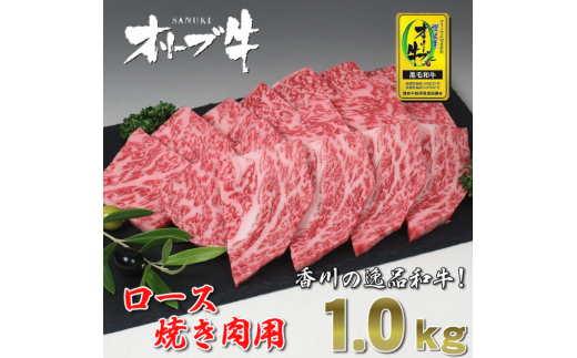 M18-0029_黒毛和牛オリーブ牛ロース焼肉用　約500ｇ×２ 245800 - 香川県三豊市