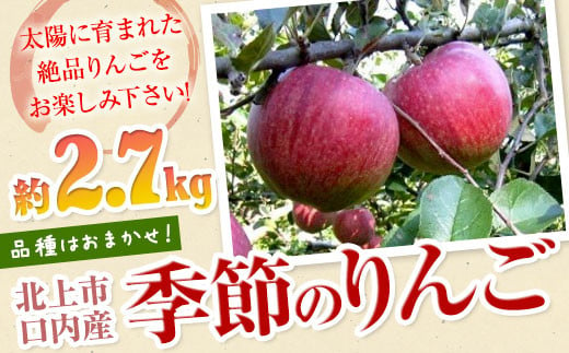 【北上市/口内産】季節のりんご　約2.7kg（8～10個）