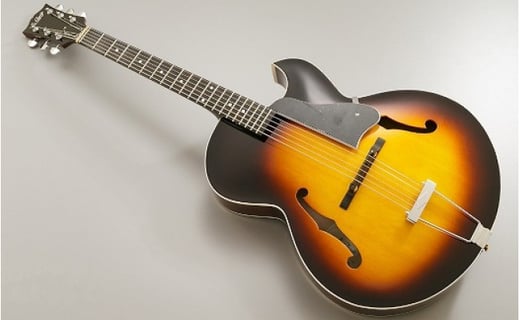 【ギター】S.Tsuji　P-1 Model