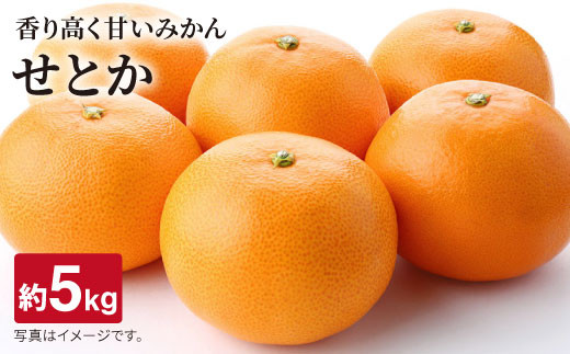 大人気御礼 限定150箱 佐嘉田稔さんのせとか みかん ５kg 西海クリエイティブカンパニー Caa037 長崎県西海市 ふるさと納税 ふるさとチョイス