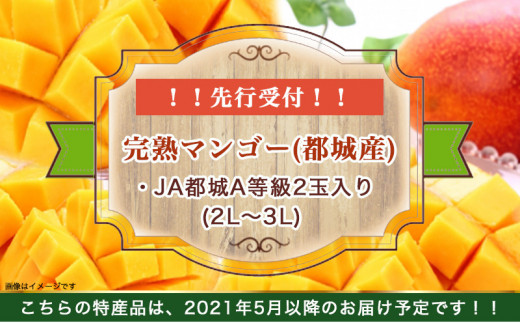 都城産完熟マンゴー A等級 2玉 Ac 0101 宮崎県都城市 ふるさと納税 ふるさとチョイス