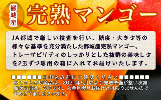 都城産完熟マンゴー A等級 2玉 Ac 0101 宮崎県都城市 ふるさと納税 ふるさとチョイス