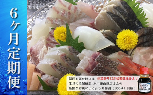 おすすめ 旬の鮮魚等のふるさと納税を探す ふるさとチョイス