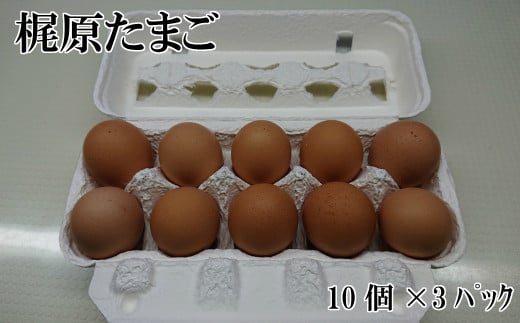 【産地直送】 梶原たまご 10個×3パック 計30個 鶏卵 九州産