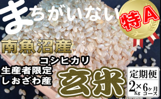 定期便 玄米 生産者限定 南魚沼しおざわ産コシヒカリ2kg 6ヶ月 新潟県南魚沼市 ふるさと納税 ふるさとチョイス