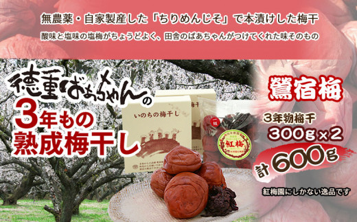 徳重おばあちゃんがつくった昔ながらの3年熟成梅干600g - (都城市