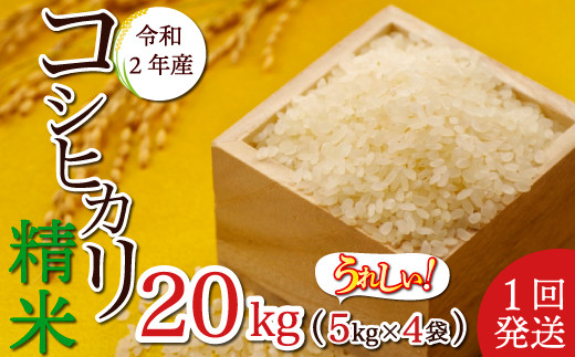 令和2年産 コシヒカリ精米kg 5kg 4袋 1回発送 山形県大蔵村 ふるさと納税 ふるさとチョイス