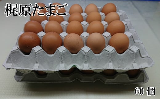 【産地直送】 梶原たまご 60個 鶏卵 九州産