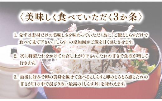 E 9 宮崎日向灘どれ生しらす丼と釜揚げしらす丼 合計12食分 水永水産 宮崎県門川町 ふるさと納税 ふるさとチョイス