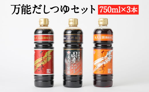 万能だしつゆセットkn25 40pt 長崎県大村市 ふるさと納税 ふるさとチョイス