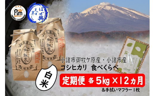 天日干しコシヒカリ20キロ 信州・安曇野・北アルプス産 令和5年収穫-