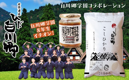 白川郷こしひかり 5kg 城山館の自家製味噌 250g セット 同日お届け コシヒカリ ご飯のお供 S161 岐阜県白川村 ふるさと納税 ふるさとチョイス