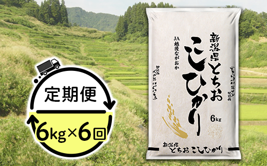 75 T066a 6ヶ月連続お届け 新潟県長岡産コシヒカリ 栃尾地域 6kg 新潟県長岡市 ふるさと納税 ふるさとチョイス
