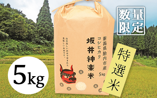 30-051【数量限定】新潟県産コシヒカリ5kg（坂井神楽米）