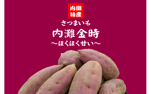 ※画像はイメージです