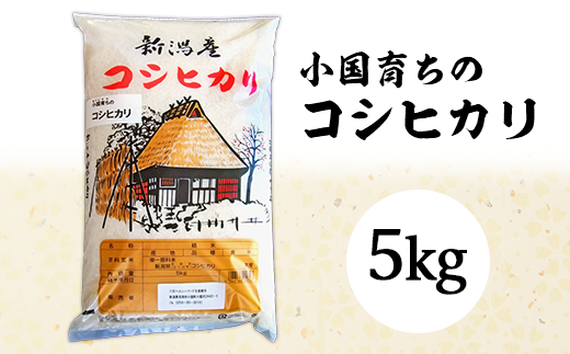 小国育ちのコシヒカリ5kg