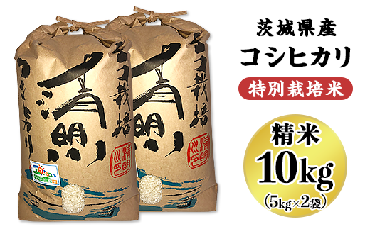 02茨城県産コシヒカリ特別栽培米10kg 5kg 2袋 大地のめぐみ 茨城県阿見町 ふるさと納税 ふるさとチョイス