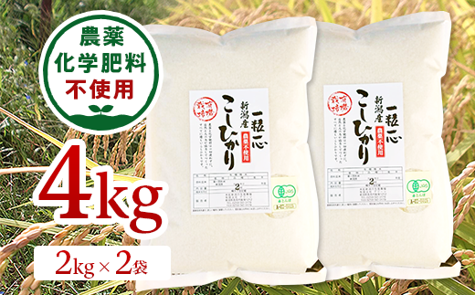 【令和2年産】新潟県長岡産有機JASコシヒカリ 精米4kg(2kg×2袋)