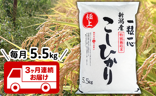 【3ヶ月連続お届け】新潟県長岡産特別栽培米コシヒカリ5.5kg【令和2年産】