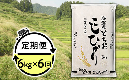 【6ヶ月連続お届け】新潟県長岡産コシヒカリ（栃尾地域）6kg