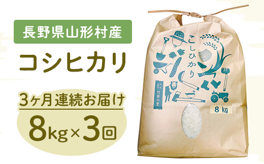 1406 ３か月連続お届け 長野県産米コシヒカリ8ｋｇ 年産 長野県山形村 ふるさと納税 ふるさとチョイス