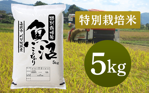特別栽培米 新潟県魚沼産コシヒカリ（長岡川口地域）5kg