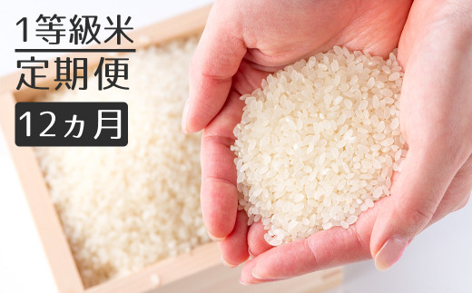 【定期便】1粒からこだわる1等級米 ヒノヒカリ 白米(5kg×12回） 255693 - 福岡県小郡市