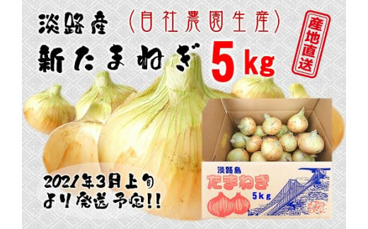 新玉予約 淡路島産新玉ねぎ5kg 兵庫県南あわじ市 ふるさと納税 ふるさとチョイス