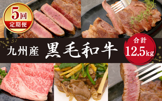 【5回発送】九州産黒毛和牛 定期便 5回 肉