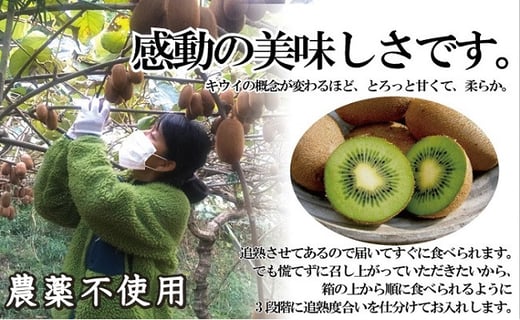 農薬不使用栽培 とろっとキウイ 花ゆずの詰め合わせセット 愛知県南知多町 ふるさと納税 ふるさとチョイス