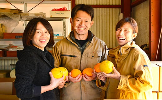 【2022年3月～発送予定】甘夏みかん 5kg オレンジ 柑橘