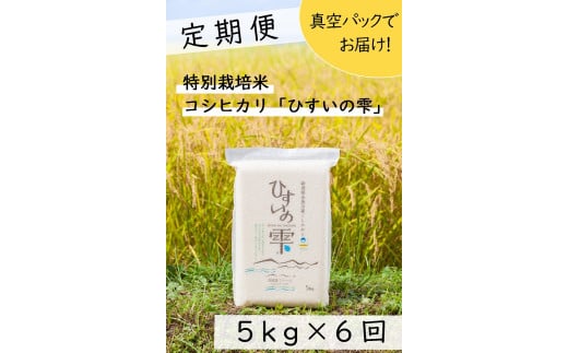 【定期便】清耕園ファームひすいの雫 計30㎏（5kg×6回）隔月お届け 令和5年産 新潟県糸魚川産 白米【お米 こめ こしひかり】 255691 - 新潟県糸魚川市