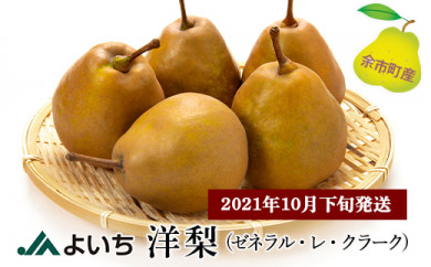 【2021年10月下旬発送】洋梨(ゼネラル・レ・クラーク)