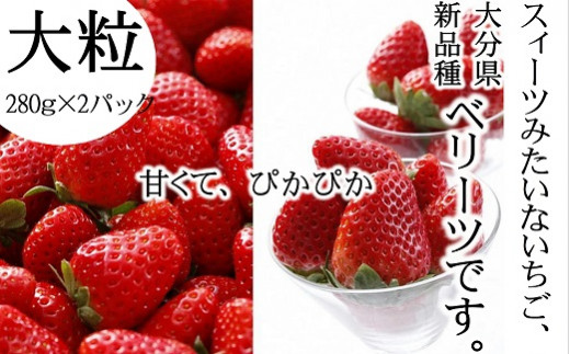 写真はイメージです