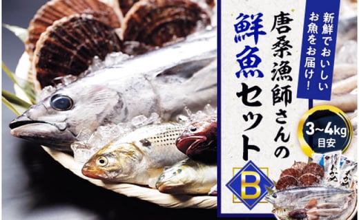 地元漁師さんと一緒に新鮮でおいしいお魚をお届けします 唐桑漁師さんの鮮魚セットb 宮城県気仙沼市 ふるさと納税 ふるさとチョイス