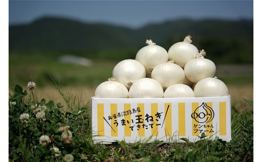 ◆5月下旬～＼希少！ケンちゃんファームの特別栽培真っ白な白たまねぎ　3キロ～ひょうご安心ブランド認証取得～