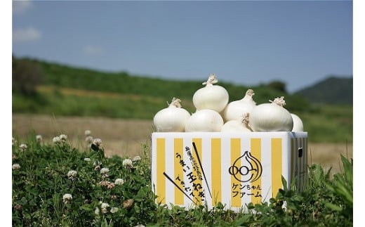◆5月下旬～＼希少！ケンちゃんファームの特別栽培真っ白な白たまねぎ　5キロ～ひょうご安心ブランド認証取得～