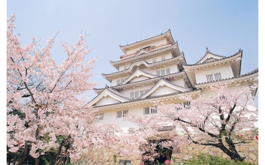築城400年を記念して、福山城のかつての姿を復元します！