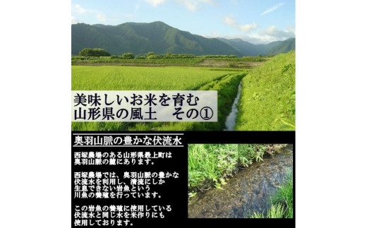 NI13001T-2 【令和5年産】【玄米】特別栽培米つや姫5㎏